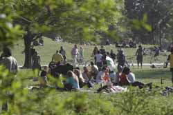 Summer in the City. Foto: Sigi M�ller